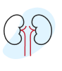 kidneys