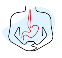 Stomach in body icon
